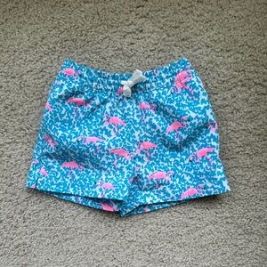 Boys Chubbies “Domingos are Flamingos” Swim Trunks 2T